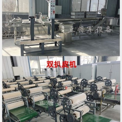 豆將軍100斤豆腐皮機(jī) 不銹鋼豆腐皮加工設(shè)備的技術(shù)開發(fā)與廠家實(shí)力解析